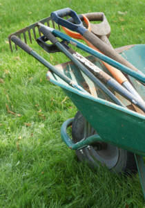 Spring clean-up essential tool-kit!