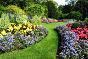 Flowerbeds with a good ratio - 5'x8' for example, look and feel right